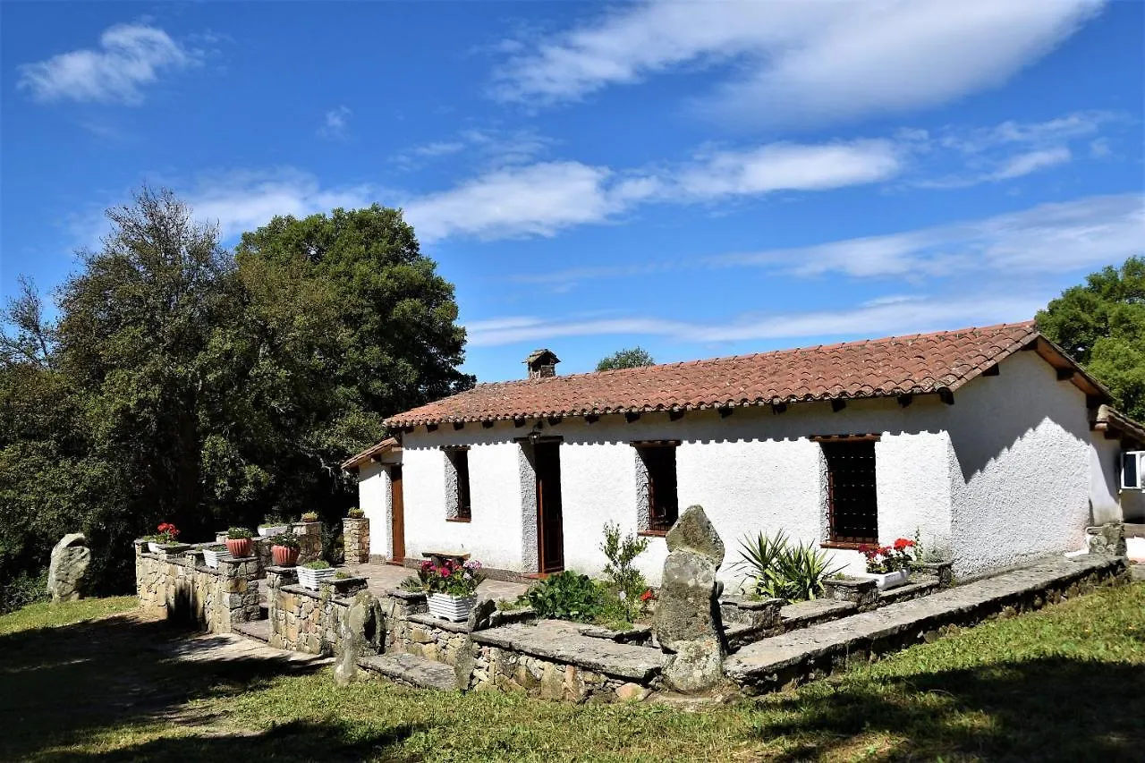 B&B I Menhir Sorgono Italy