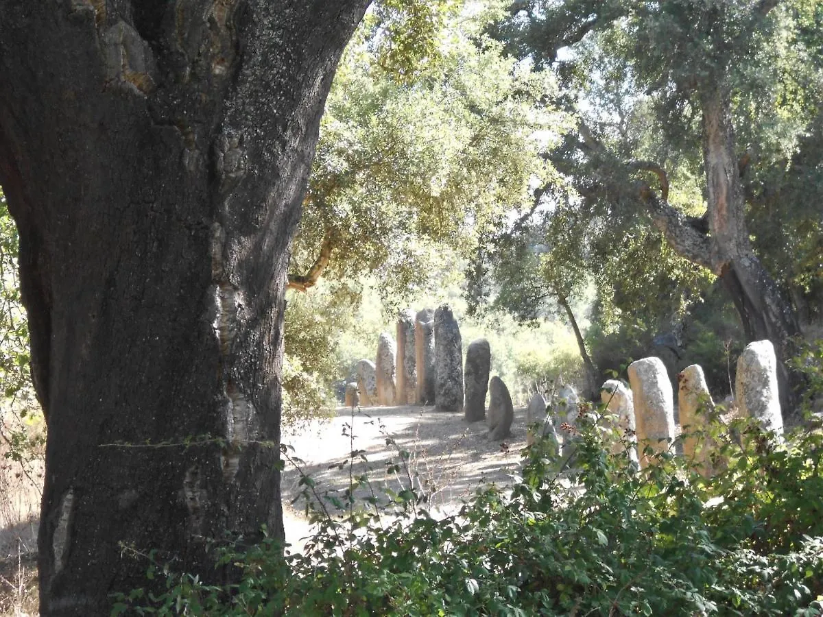 B&B I Menhir Sorgono Bed & Breakfast
