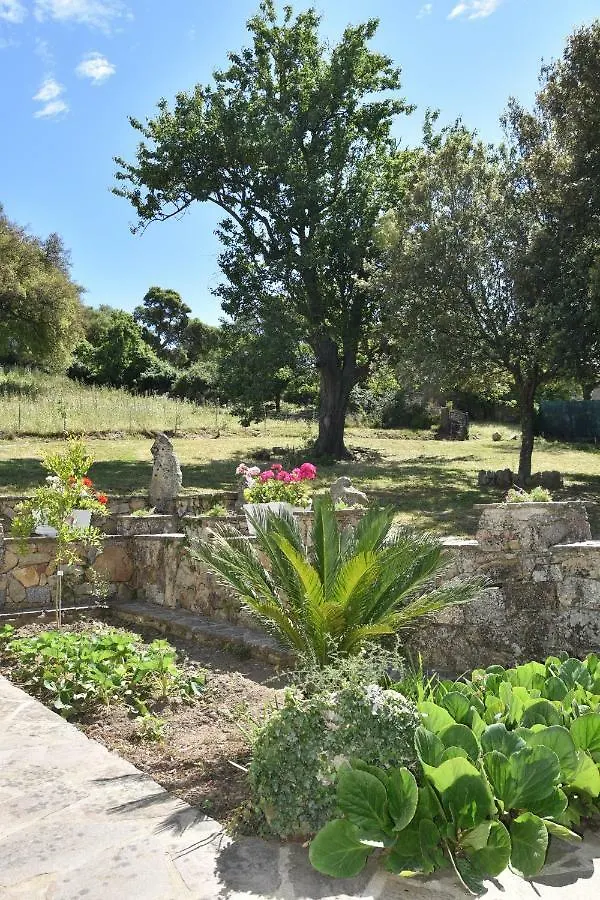 B&B I Menhir Sorgono Bed & Breakfast