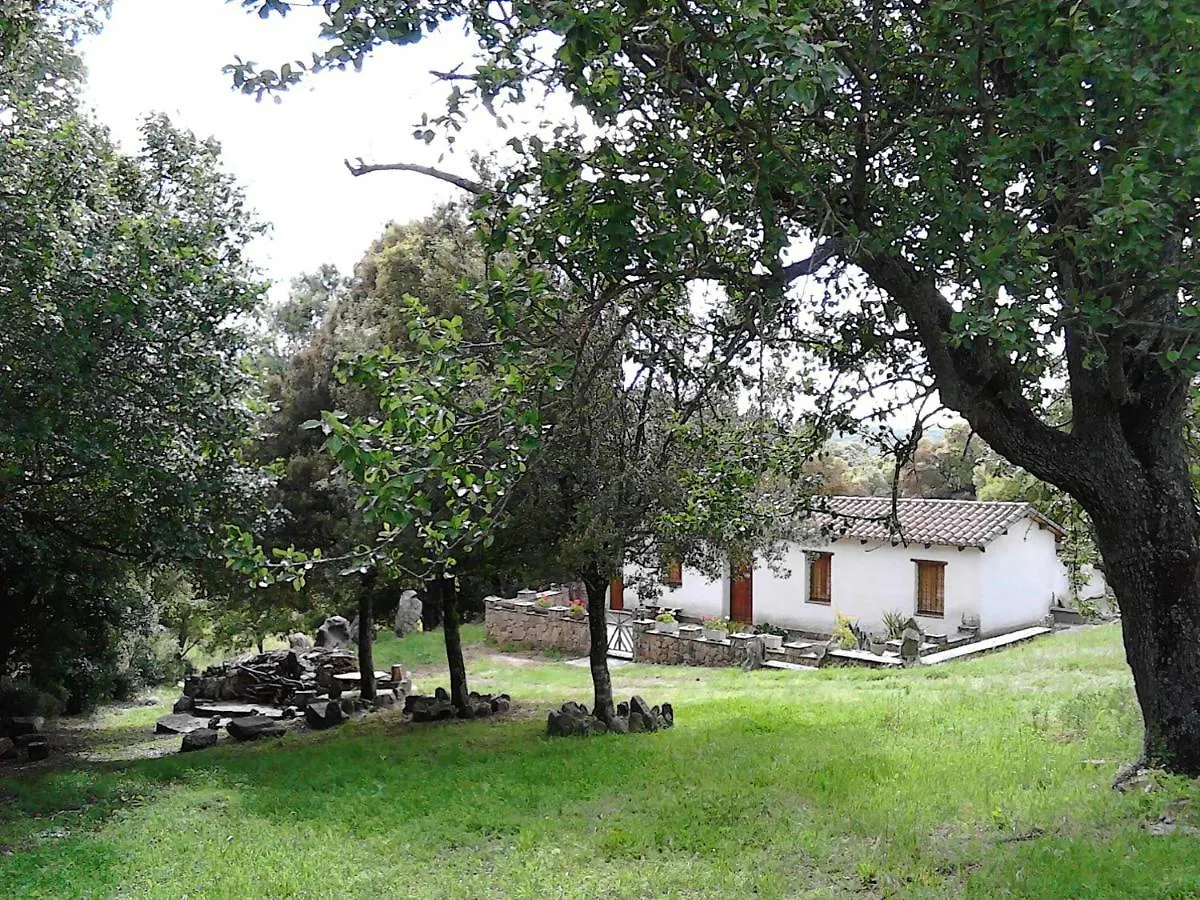 B&B I Menhir Sorgono