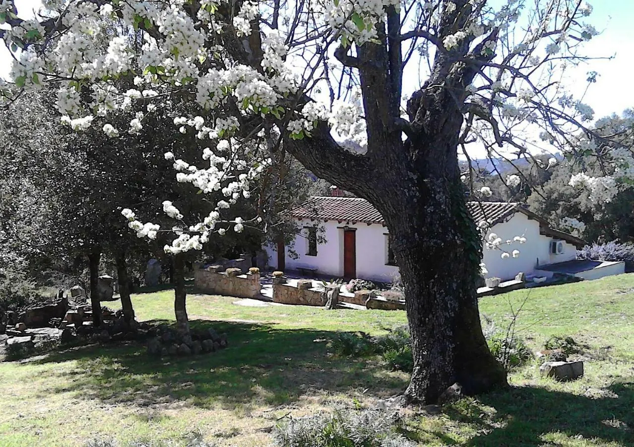 Bed & Breakfast B&B I Menhir Sorgono