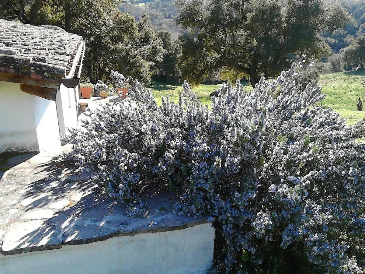 B&B I Menhir Sorgono 3*,