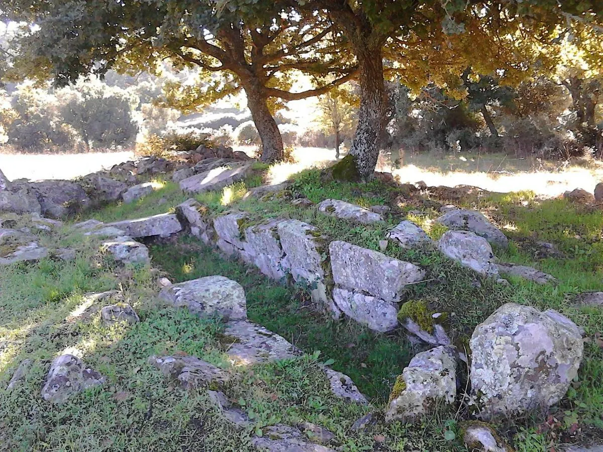 B&B I Menhir Sorgono